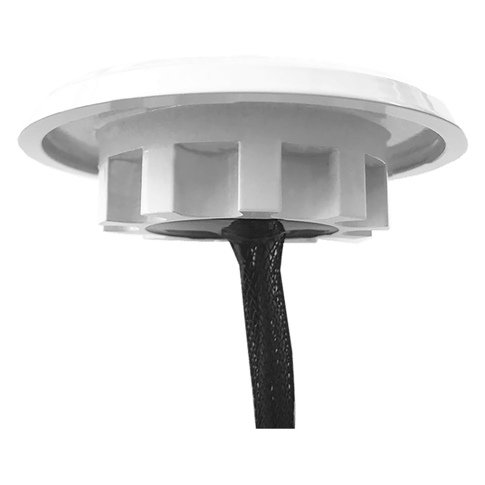 Shadow - Caster Downlight - White Housing - Bimini Blue - Marine Parts OnlyLightingShadow - Caster LED Lighting