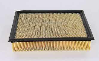 195960142.jpg