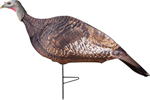 196062685.jpg