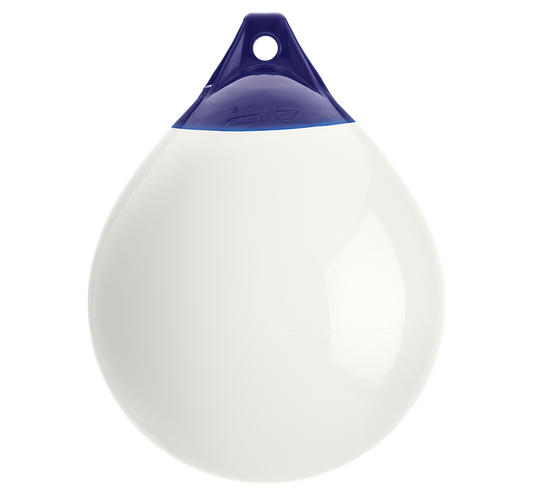196079369.png