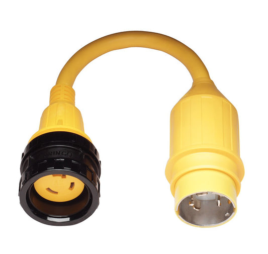 196090505.jpg