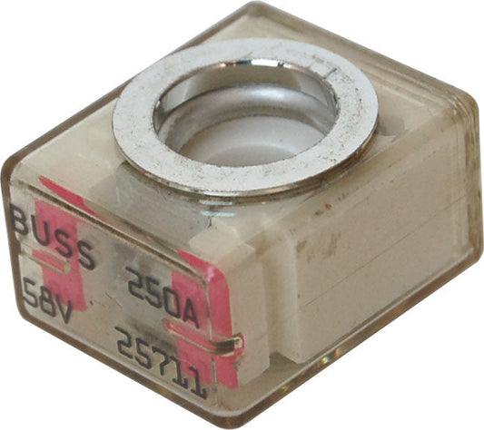 196114888.jpg