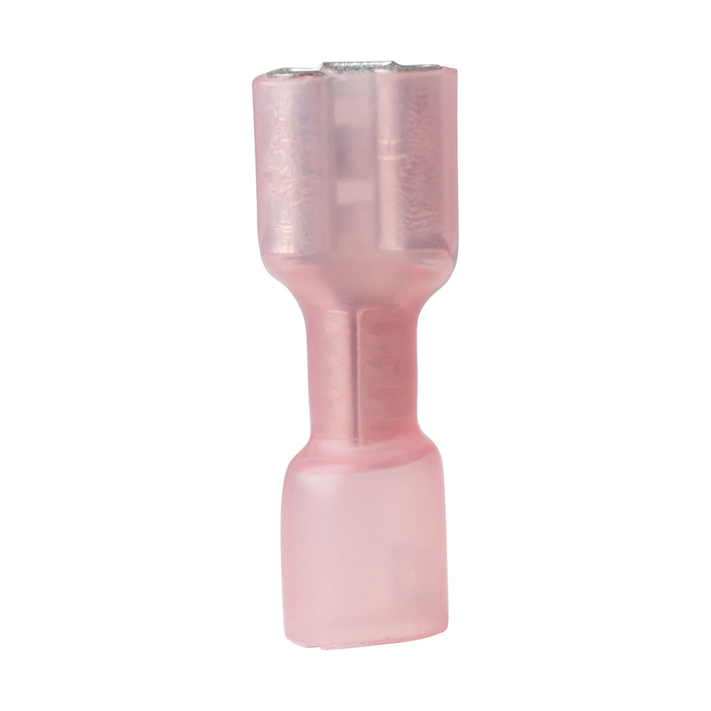 244618166.jpg