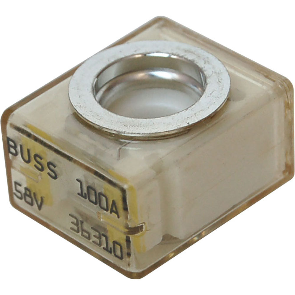 305769781.jpg