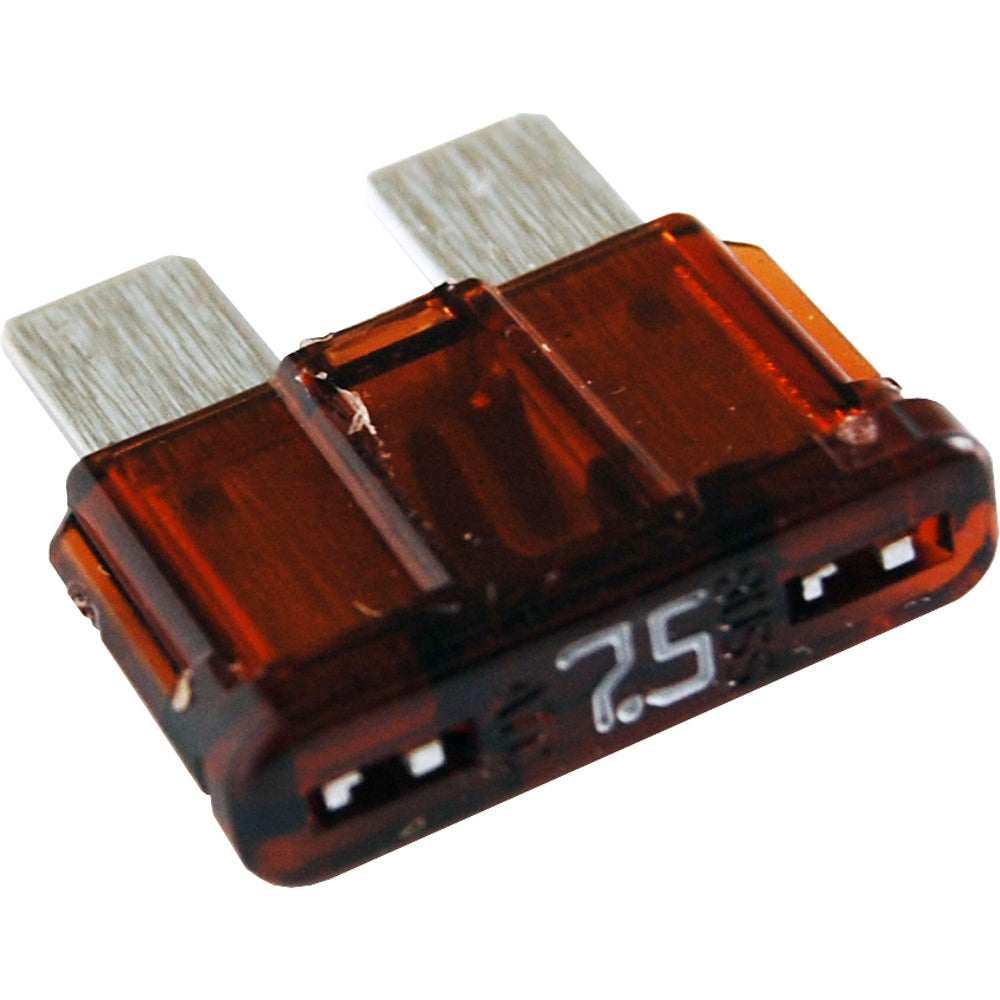 305770053.jpg