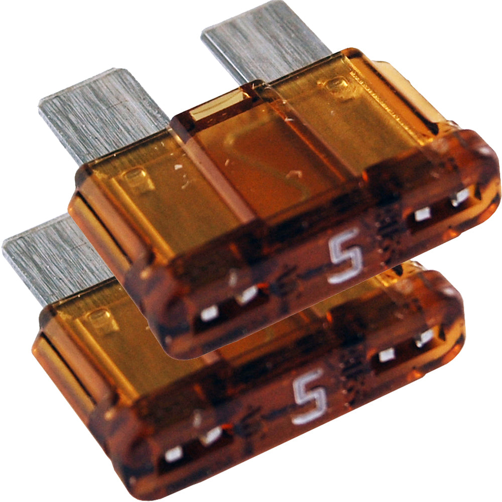 305777613.jpg