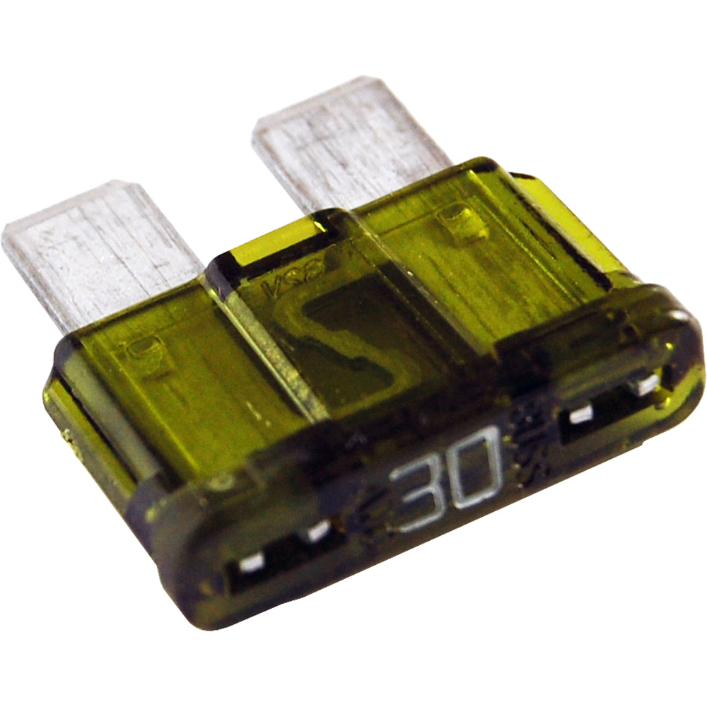 305783677.jpg