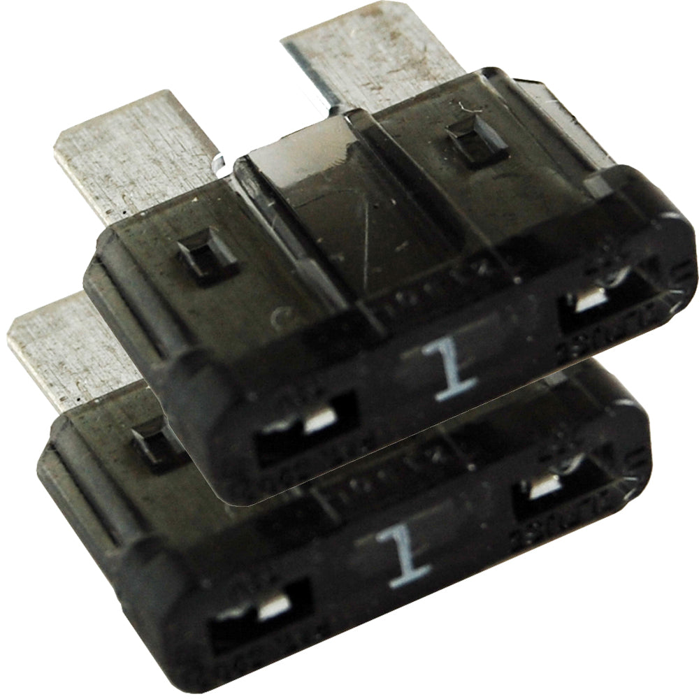 305793523.jpg