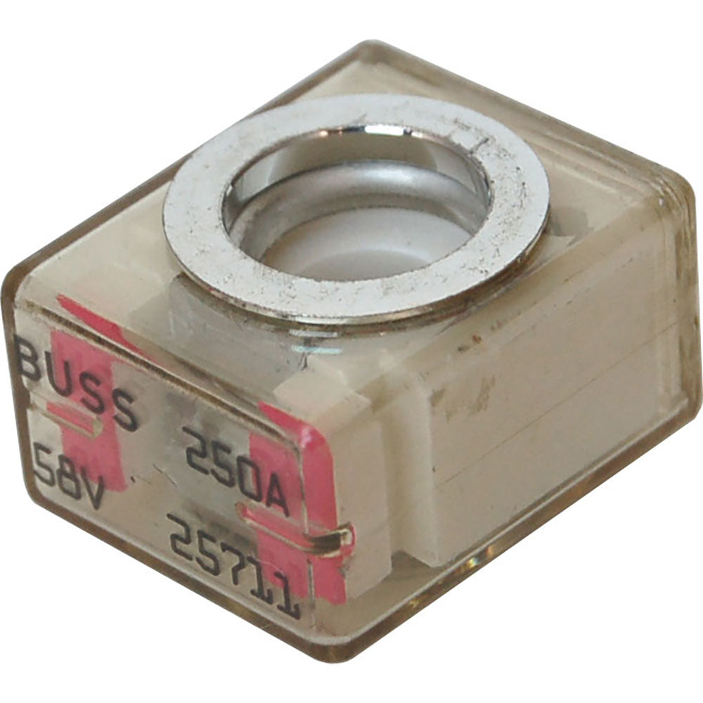 305793780.jpg