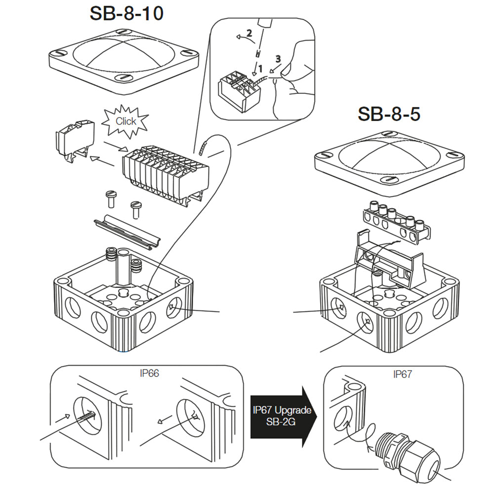 305799123.jpg