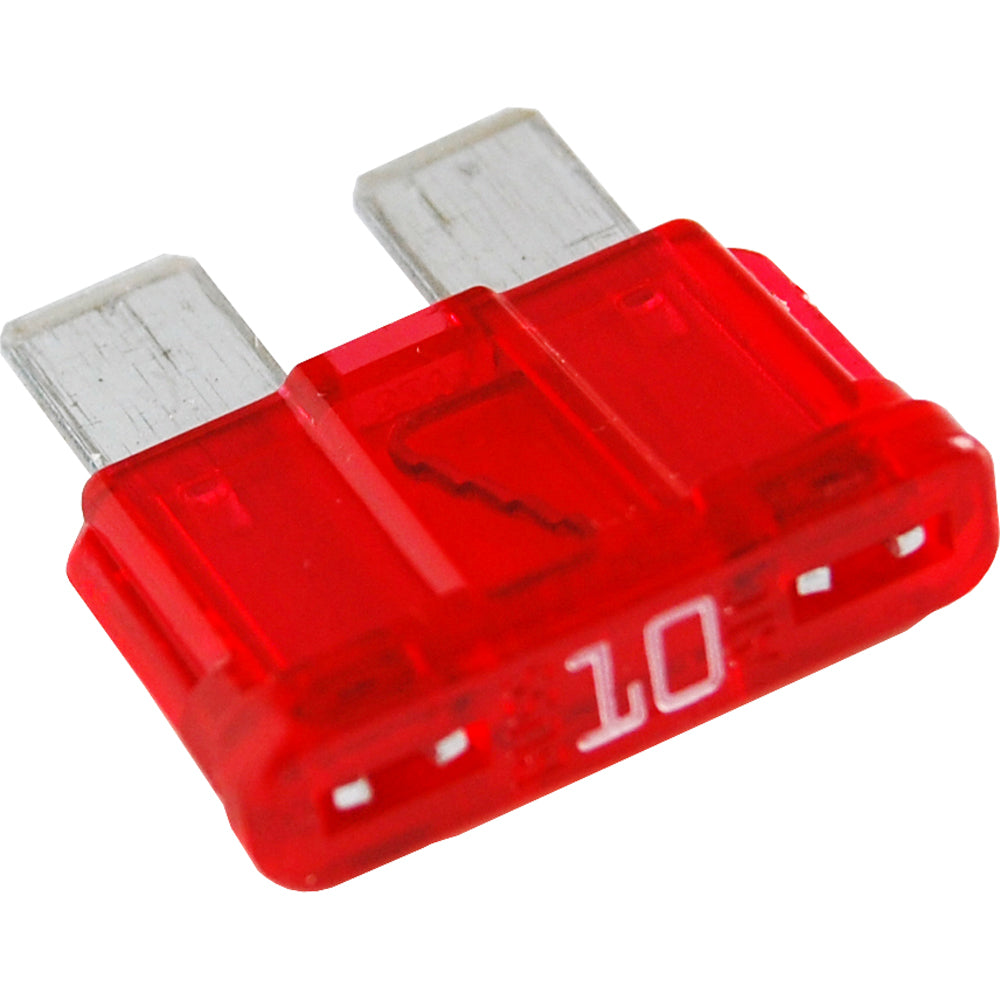 305800846.jpg