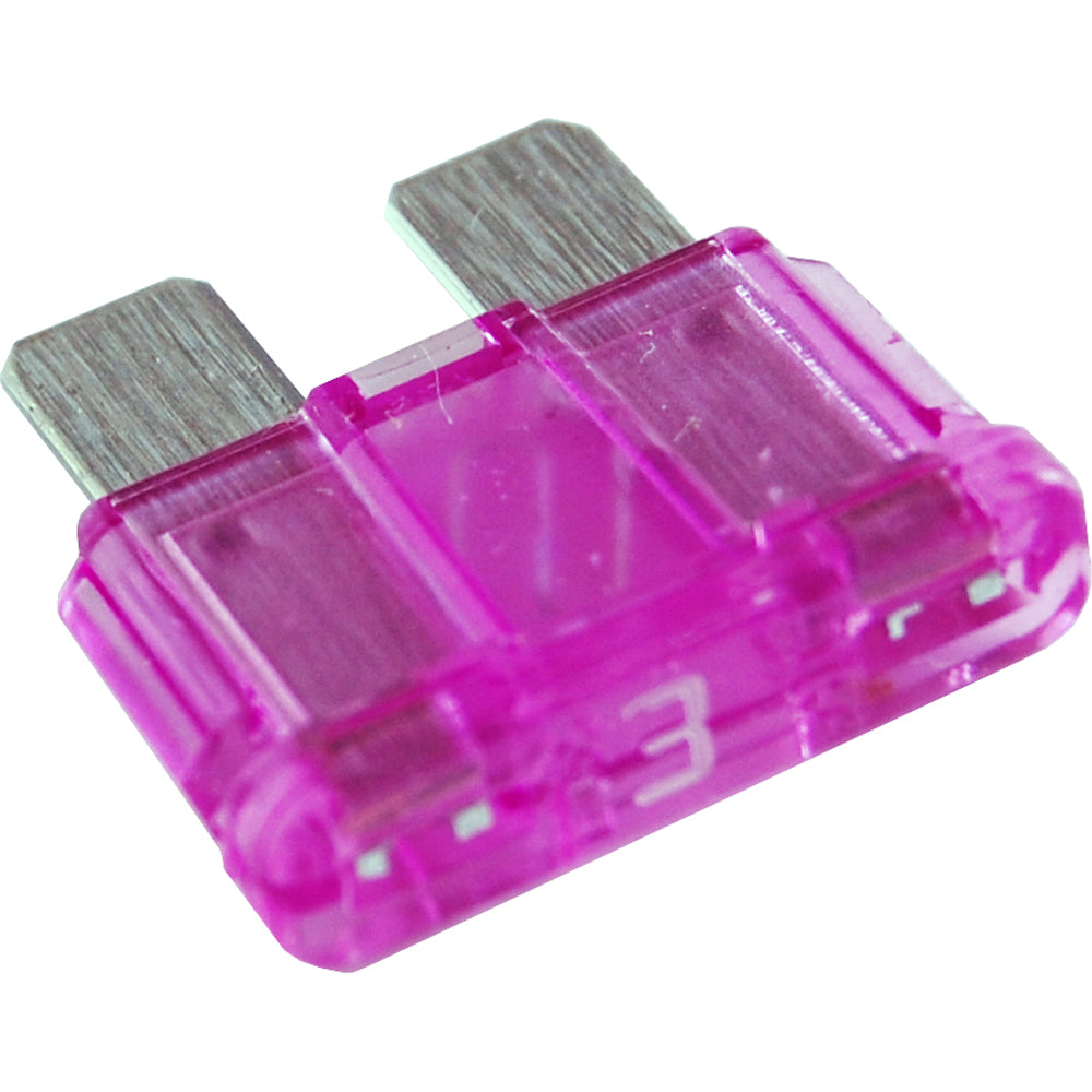 305803636.jpg