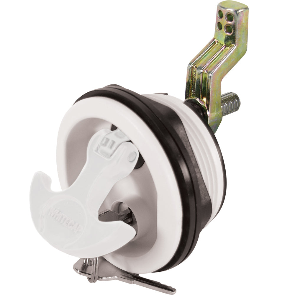 305805109.jpg