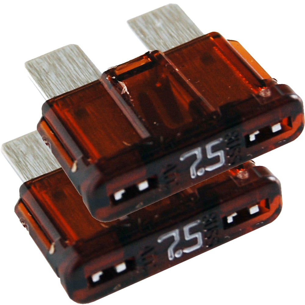 305811110.jpg