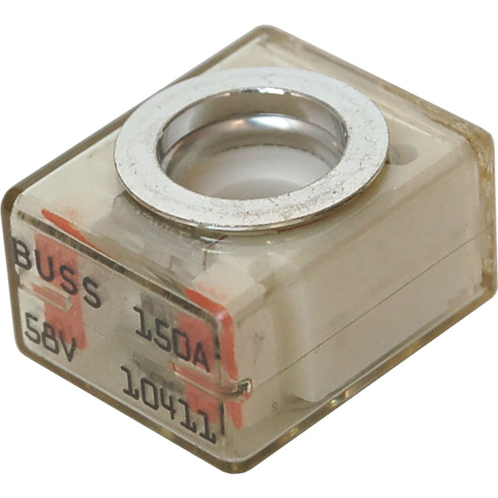 305816543.jpg