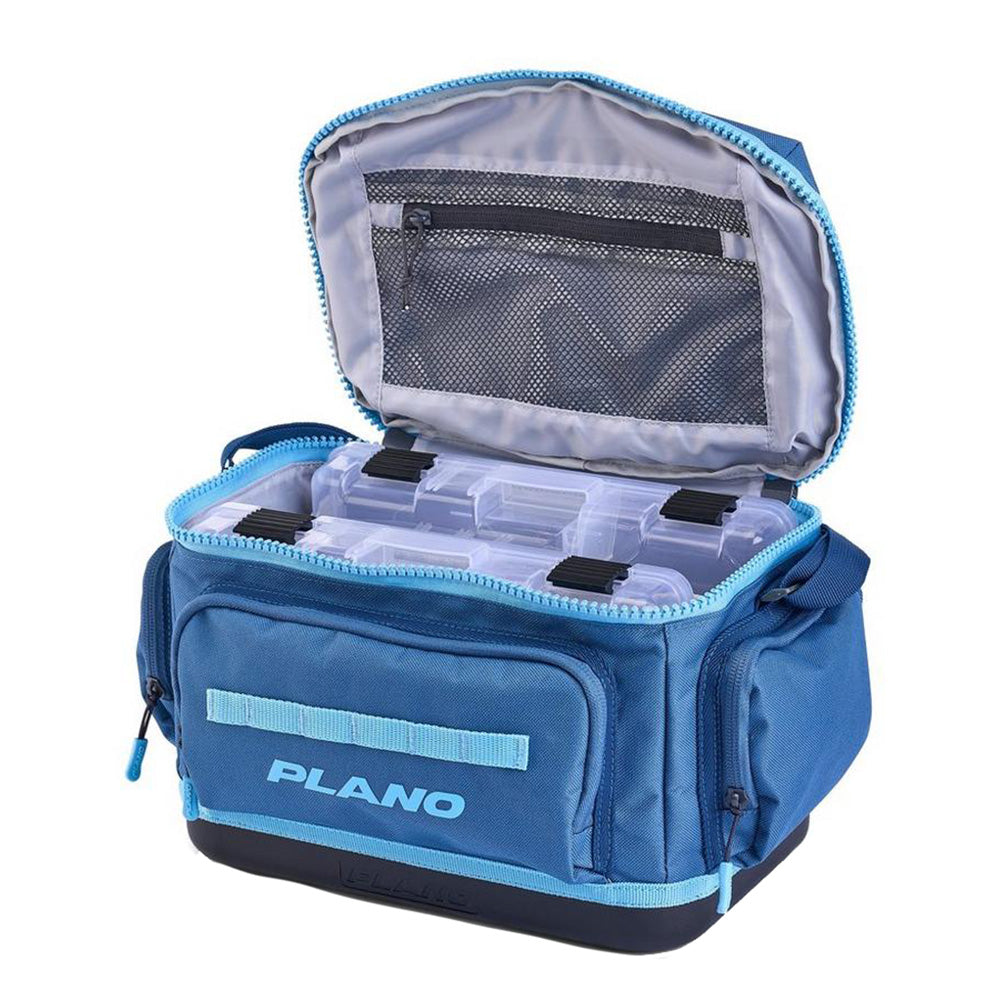 333481017.jpg