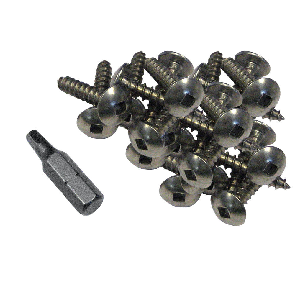 Dock Edge DE1006F Stainless Steel Profile Fasteners, 100-Pack with Robertson Driver