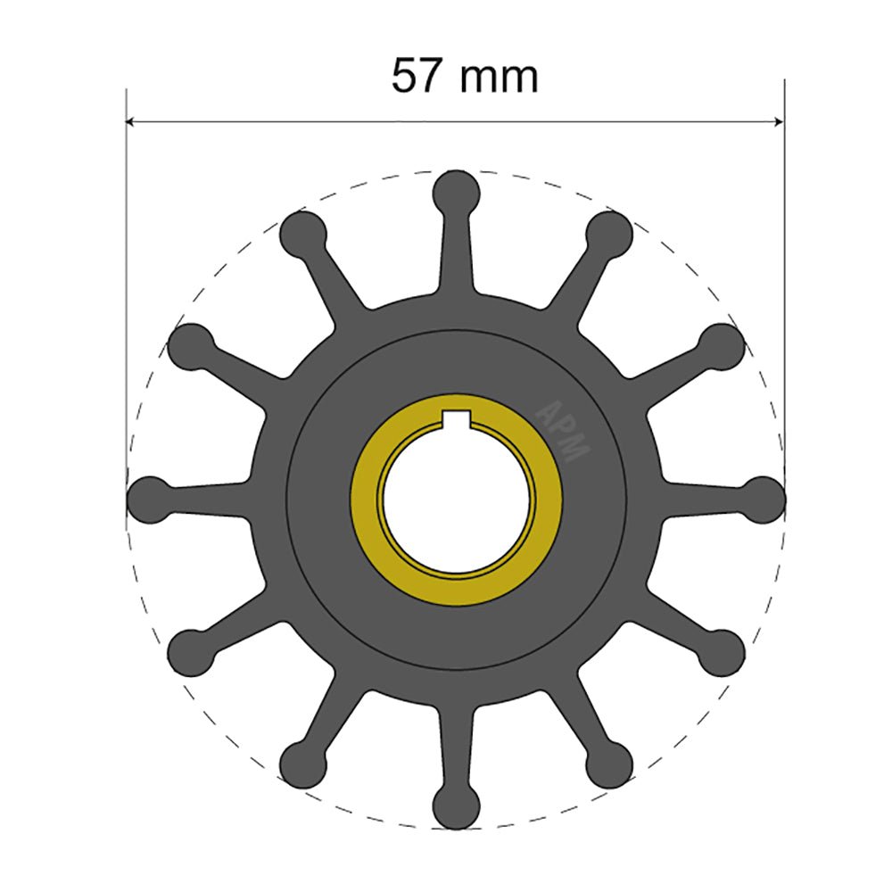 Albin Group Premium Impeller Kit 57 x 12.7 x 20mm - 12 Blade - Key Insert - Marine Parts OnlyMarine Plumbing & VentilationAlbin Group