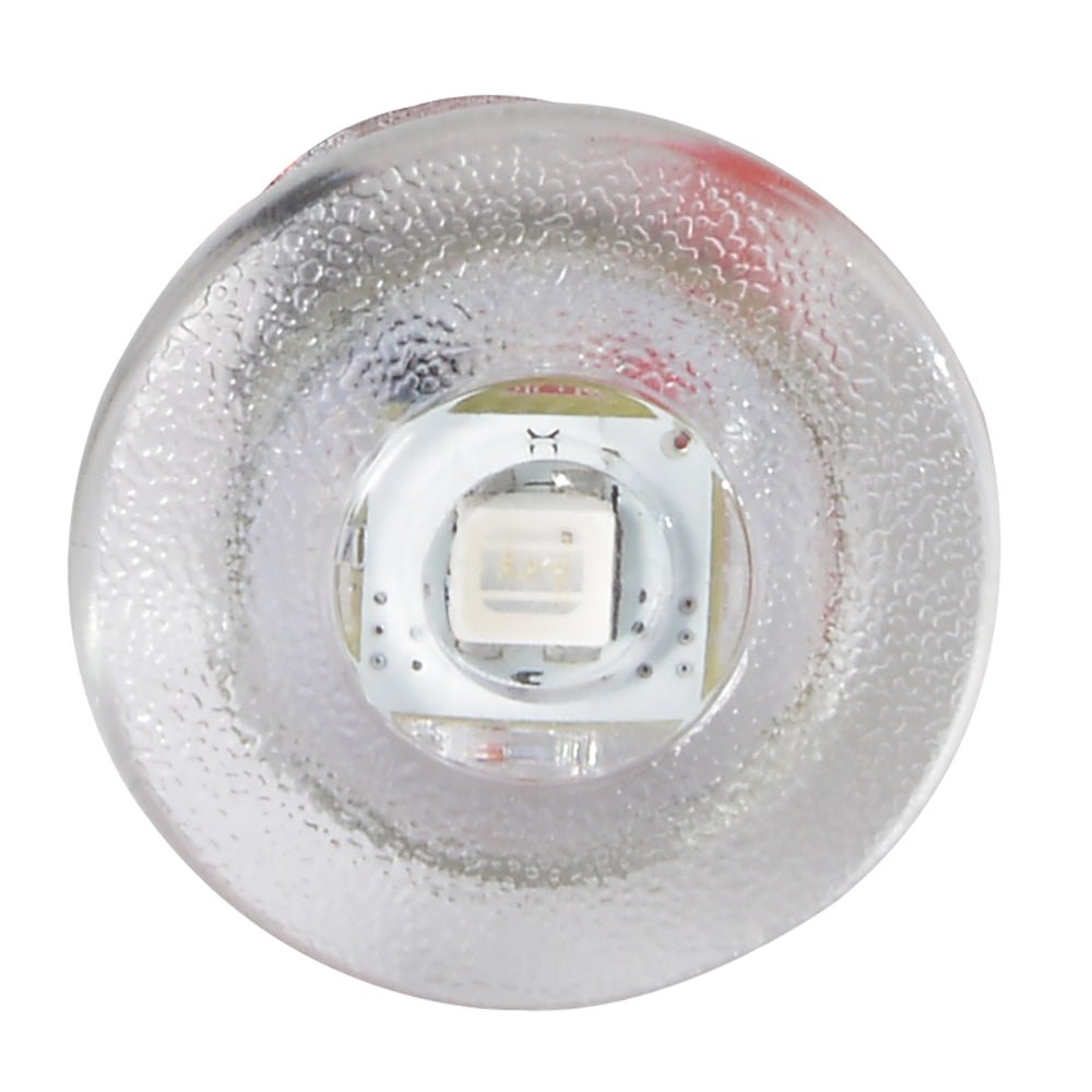 Lumitec Newt - Livewell & Courtesy Light - Red Dimming - Marine Parts OnlyLightingLumitec